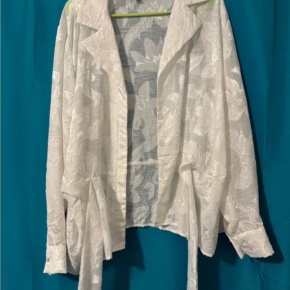 Women’s Dressy Shirt, Great Condition no snags or wear on it